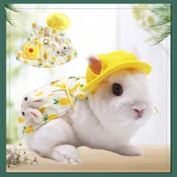 'Olu Bunny Pet Vest Nā mea komo i waho Leash Rabbit Lole Harness Strap Leash No Rabbit 'A'ahu ​​Lole Harness no ka Rabbit