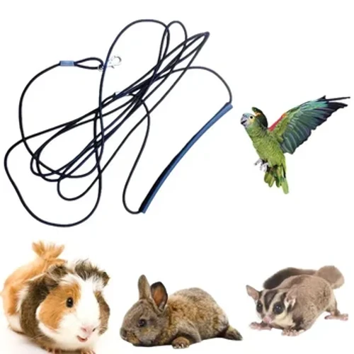 Pet Leash Kits Ultralight Anti-bite Harness Flying Training Rope Para sa Squirrel Guinea Pig Rabbit Chinchilla Parrot