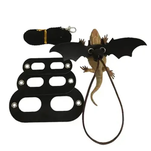 Coarda de tracțiune pentru șopârlă, reptilă, dragon cu barbu, hamul barbudo, lesă din piele, cu aripi, accesorii pentru animale de companie