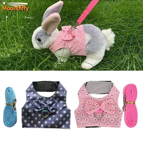 Động Vật Nhỏ Ngoài Trời Đi Bộ Dây Và Dây Xích Bộ Quần Áo Dễ Thương Cho Chó Con Mèo Con Lợn Bunny Chinchillas Vòng Cổ Thỏ Áo Vest