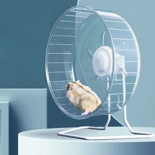 Hamster Bánh Xe Tập Thể Dục Chinchilla Máy Chạy Bộ Cực Êm Thiết Bị Giảm Cân Bánh Xe Xoay Cho Chuột Nhảy Đường Tàu Lượn Sóc