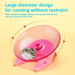 I-Transparent Anti-Slip Hamster Running Wheels: Amathoyizi Okuzivocavoca Angaphakathi Anempilo, Ama-Hamster Ajabule