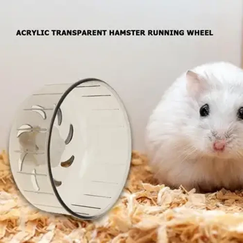 Acrylic Transparent Hamster Wheel Running Treadmill Exercise Wheel for Small Pet