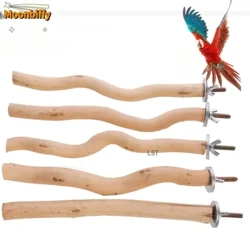 1 Chiếc Vẹt Đứng Cần Đồ Chơi Gỗ Dĩa Nhánh Cá Rô Lồng Chim Treo Xoay Thú Cưng Chim Nhai Đồ Chơi Sân Chơi Chim nguồn Cung Cấp