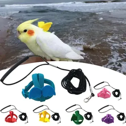 I-Parrot Vest Eguquguqukayo Intambo ende Intambo Emide Amaphiko Entambo Ye-elastic Ibhande Lenyoni I-Parakeet I-Parrot Vest I-Rope Bird Izesekeli