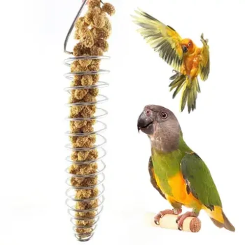 Hindi kinakalawang na asero Bird Parrot Feeder Pagkain Mga Prutas sa Basket Holder Kagamitan sa Paghanap ng Bird Cage Feeding Device Laruang Pagsasanay ng mga Ibon