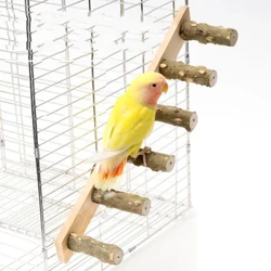 Adhmad Spiky Nádúrtha Peataí Parrot Adhmad Amh Forc Forc Brainse Crann Seas Raca Iora Éan Hamster Brainse Péirsí Chew Bite Bréagáin bata
