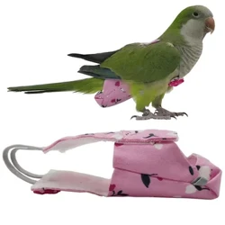 Popok Burung Beo dengan Dasi Kupu-kupu Lucu Buah Warna-warni Bunga Cockatiel Merpati Kecil Menengah Besar Burung Hewan Peliharaan Setelan Penerbangan Pakaian Bisa Dicuci