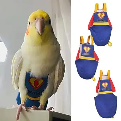 Diaper Parot Aderyn Ciwt Diaper Ffisiolegol Colomennod Cockatiel Adar Anifeiliaid Anwes Bach Canolig Mawr Adar Anifeiliaid Anwes Hedfan Dillad Siwt Golchadwy