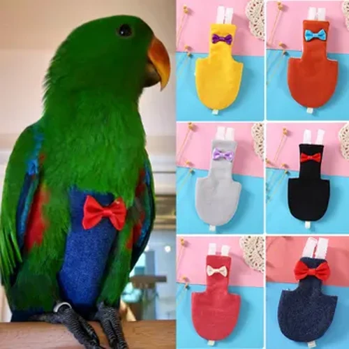 I-Bird Parrot Diaper ene-Bowtie Cute Flight Suit Izingubo Zamanabukeni ze-Green Cheek Conure Parakeet Pigeons Medium Large Pet Pet Bird