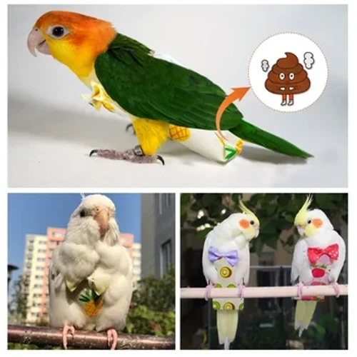 Parrot Diaper Suit Flight Suit Napepa La'ei Parrot Parakeet Lupe Medium Large Pet Bird