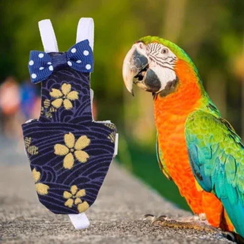 Papageienwindel, Haustierkleidung, Vogelkostüm, Windeln, Windel, wo fliegen, kreativer Anzug