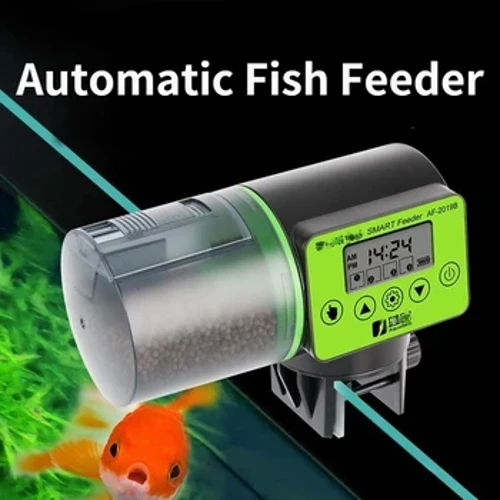 Fa'ato'a fafaga tane i'a atamai taimi fa'ato'a otometi i'a auro i'a lapo'a fafaga i'a aquarium fafaga
