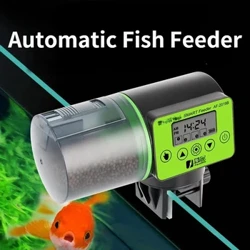 Fa'ato'a fafaga tane i'a atamai taimi fa'ato'a otometi i'a auro i'a lapo'a fafaga i'a aquarium fafaga