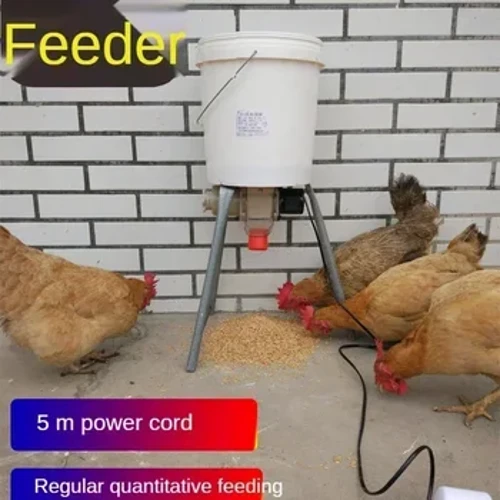 I-Automatic Chicken Feeder Ijuba Ledada Lenkukhu Yesithwala I-Pigeon Trough Intellegent Timing Isikhathi Esizenzakalelayo Sokuphakela Inkukhu