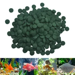 100pcs High Purity Spirulina Tablets Spiral Limu Fa'atamaoaigaina Fagafao Fa'afiafia Mea'ai I'a Crystal U'amu Mumu I'a Mea'ai Aquarium