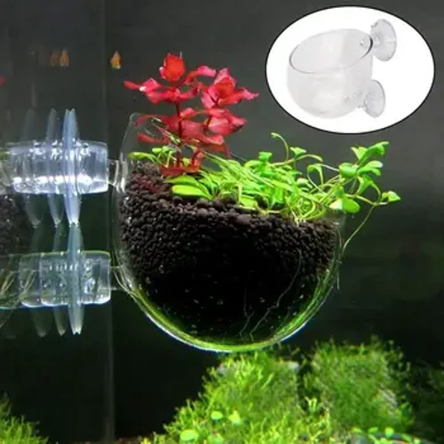hal Vízifű faiskolai edény Üveg Akvárium dekoráció Edény Polka Vízi cserepes vízi ültető henger csésze akvárium kiegészítők