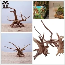 Cefnffordd Coed Naturiol Driftwood Acwariwm Tanc Pysgod Ymlusgiaid Silindr Gwreiddiau Planhigyn Addurno Pren Addurn Planhigion Acwariwm Affeithiwr