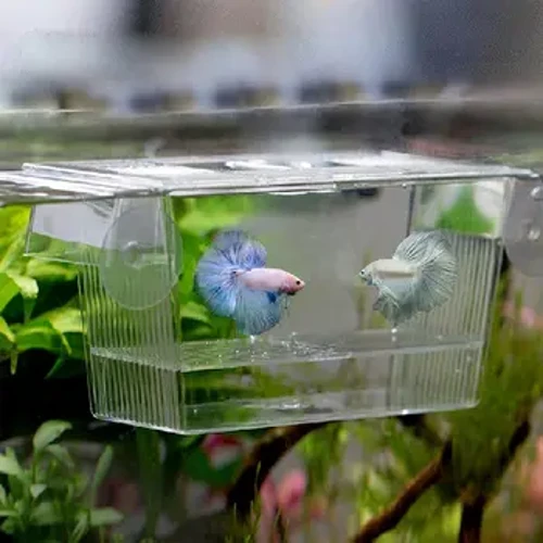 Kotak Pemulia Ikan Transparan Akrilik Tangki Ikan Pemuliaan Kotak Isolasi Akuarium Penetasan Inkubator Pemegang Kotak Pemuliaan Ikan