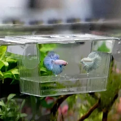Kotak Pemulia Ikan Transparan Akrilik Tangki Ikan Pemuliaan Kotak Isolasi Akuarium Penetasan Inkubator Pemegang Kotak Pemuliaan Ikan