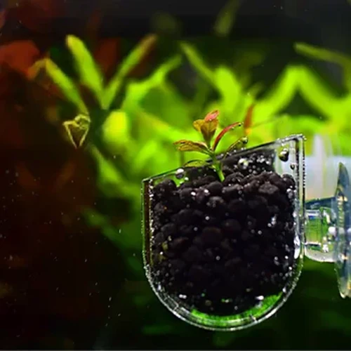 Trang Trí Bể Cá Vật Có Cốc Nồi Acrylic Waterweed Cốc Hút Giá Đỡ Mini Làm Vườn Bình Giun Đỏ Ăn Cho Bể Cá