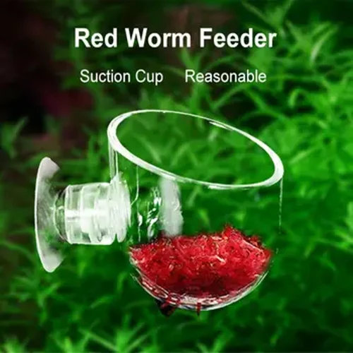 Trang Trí Bể Cá Vật Có Cốc Nồi Acrylic Waterweed Cốc Mini Làm Vườn Bình Giun Đỏ Ăn Cho Bể Cá Có Đầu Hút Giá Đỡ