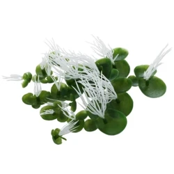 18 Pcs Mea Hana Duckweeds Lana ʻOiaʻiʻo i ka makahiki holoʻokoʻa Loaʻa i ka Aquarium Fishbowl Scenery 3 Nui ʻO ka lau ʻōmaʻomaʻo me ke aʻa.