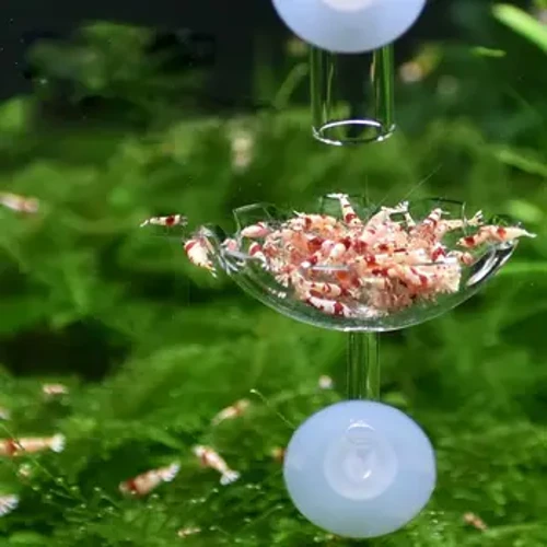 Aquarium Garnalen Voedsel Feeder Acryl Niet-giftig Duurzaam Visvoerbak Met Zuignap Aquariumbenodigdheden