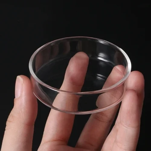 Klart glass reker Mat runde retter Små fisk Fôringsbolle Prydutstyr alimentaire pour Aquarium