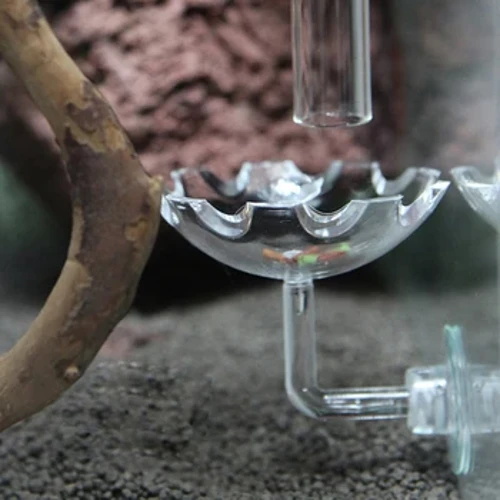 Plat d'alimentation en crevettes, plat d'alimentation en crevettes, Aquarium réservoir de poissons, bol de nourriture en verre transparent, Tube d'alimentation, accessoire d'aspiration