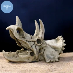 Animaliak Burezurra Arrain depositua Dinosauro fosilak Apaingarriak Aquariuma Errinozeroa Hezurren dekorazioa Arrainontzia Krokodilo Medusa Karpa Dortoka