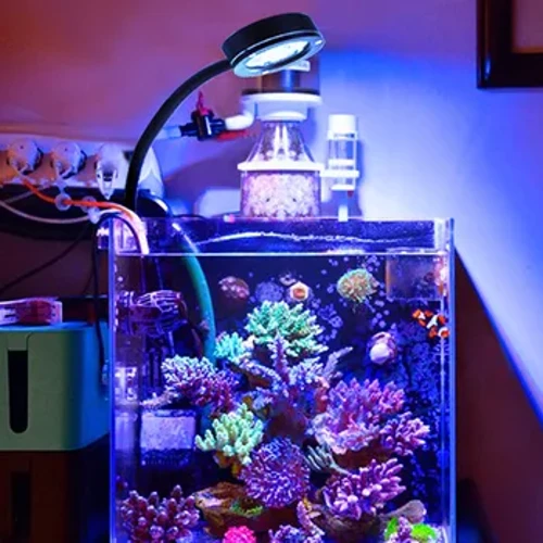 Golau LED Morol Aquarium ar gyfer Tanc Reef Morol 30 ~ 50cm ar gyfer Coral LPS 100 ~ 240V