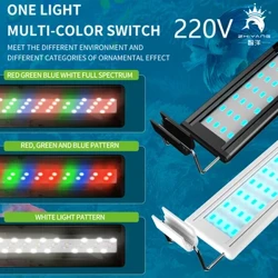 Support de lumière LED pour aquarium, 220V, lumière rouge, verte, bleue, éclairage d'aquarium, quatre rangées de lumières changeantes de couleur