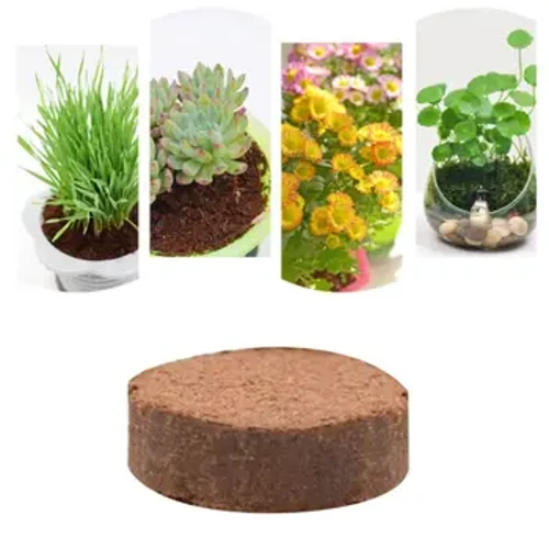 Uy bog'dorchiligi sudraluvchi akvarium uchun tabiiy Coir disklari dumaloq hindiston yong'og'i g'ishtlari