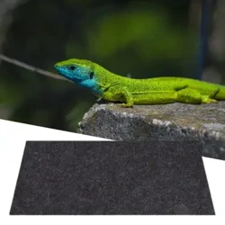 Covor pentru reptile, moale, convenabil, rezistent la uzură, reptile, șopârlă, broasca țestoasă, tampoane pentru amenajare a teritoriului pentru animale de companie