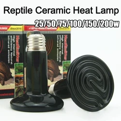 1 Pc Bulb Lampa Teasa Astaithe Ceirmeacha Infridhearg d'Ainmhithe Reipteacha Téitheoir Brooder Ceirmeach Téite Peataí Téamh Bolgáin Solais