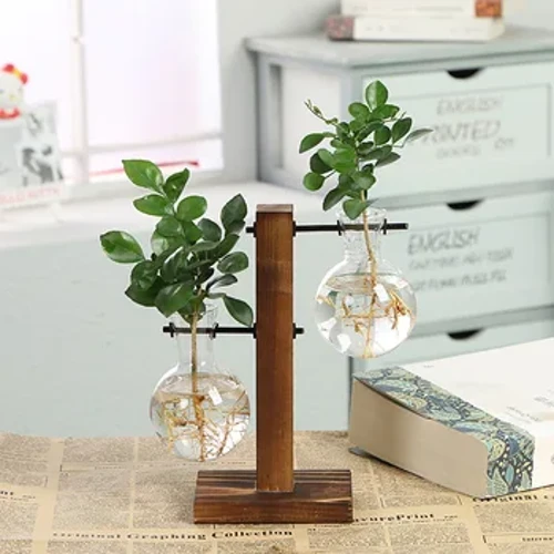Terrarium gidroponiki ösümlik wazalary Üzüm gül küýzesi aç-açan waza agaç çarçuwaly aýna planşet ösümlikleri öý Bonsai bezegi