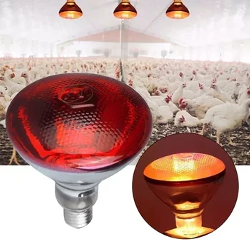 Bombilla de calefacción de 220V, lámpara de calefacción para aves de corral, reptiles, plantas anfibias, 100/150/200/275W, calefacción con aislamiento infrarrojo para ganado y mascotas