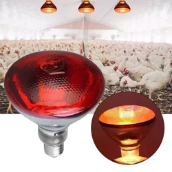 220V Heating Light Bulb Poultry Reptile Plant Amphibian 100/150/200/275W Heating Lamp Pet Livestock Infrared Insulation Heating