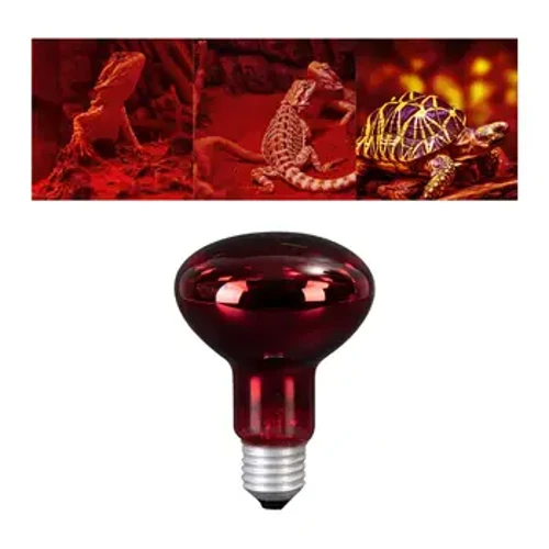 Pet Heat Infrared Baking Lights Lamp Bulb Lighting Device Heater Reptile for Terrarium Geckos Chameleons Tortoise