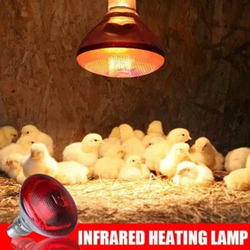 250w Kızılötesi Isı Lambası E27 Su Geçirmez Anti-Patlama Kalınlaşmış Ampuller Piglet Tavuk için Isı Lambası Termal Koruma