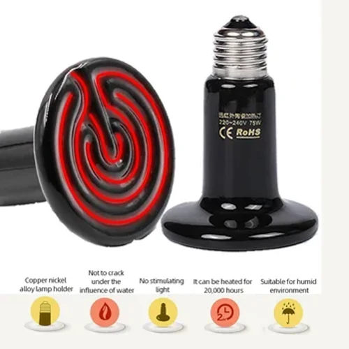 25W 50W 75W 100W 150W 200W tolimojo infraraudonųjų spindulių naminių gyvūnėlių šildymo lempa Keraminė 110V 220V roplių vėžlys brooderio lemputė Šilumos skleidėjo lemputė