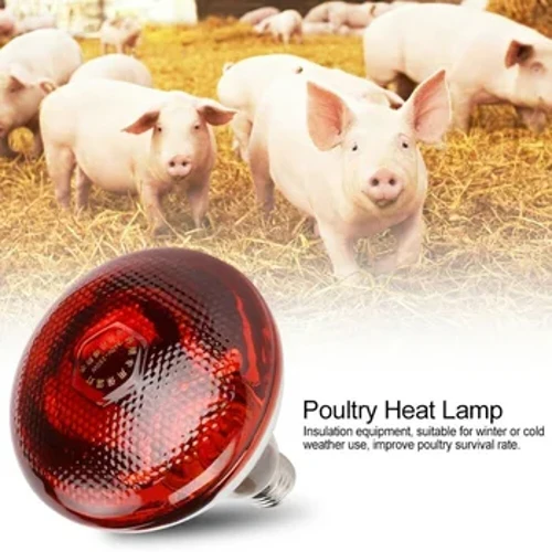 250 W Kümes Hayvanları Kızılötesi Isı Lambası Su Geçirmez Anti-Patlama Kalınlaşmış Ampuller Piglet Tavuk Ördek Kuşlar E27 Isıtma Lambası