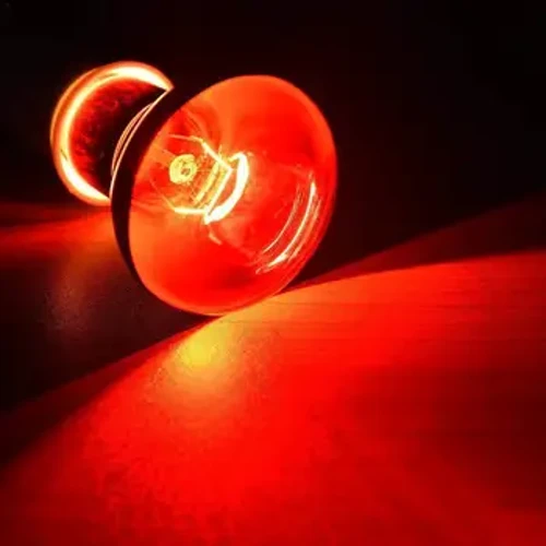60W 75W 100W LED Reptile Bulb Mini Pet Heating Lamp E27 UV Araw Gabi Amphibian Turtle Snake Lamp Heat Reptile Bulb Light