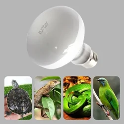 UVA + UVB Đèn Sưởi Tia UV Thích Hợp Cho Rùa Thằn Lằn Bò Sát Thú Cưng Chống Nước Đèn Huỳnh Quang Bộ Điều Khiển Nhiệt Độ 220V