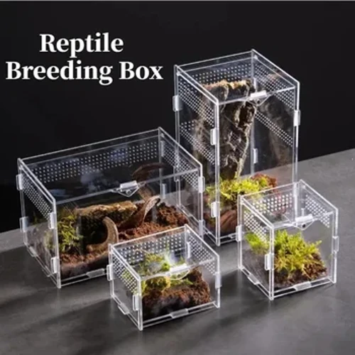 Reptil Habitat Terrarium Oppdrettsboks Akryletui Nano Arboreal Tarantula Innhegning Edderkopp Skorpion Skjeggdrage Habitat