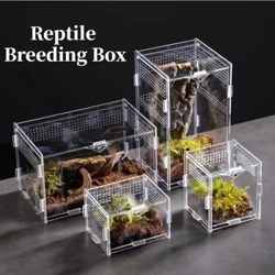 Reptil Habitat Terrarium Uppfödningslåda Akrylfodral Nano Trädgård Tarantula Inhägnad Spindel Skorpion Skäggig Drake Habitat
