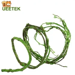 1 Máy Tính Bò Sát Cây Nho Động Vật Nhỏ Môi Trường Sống Rừng Uốn Cong Nhánh Cho Thằn Lằn Phong Cảnh Mô Phỏng Vật Có Mây Hộp Thú Cưng Trang Trí