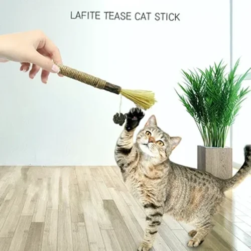 Nā mea pāʻani pipi ʻai ʻo Matatabi maʻamau, nā lāʻau hoʻomaʻemaʻe i ka niho Catnip Cat mea pāʻani Actinidia Silvervine Pet mea pāʻani no nā pōpoki.