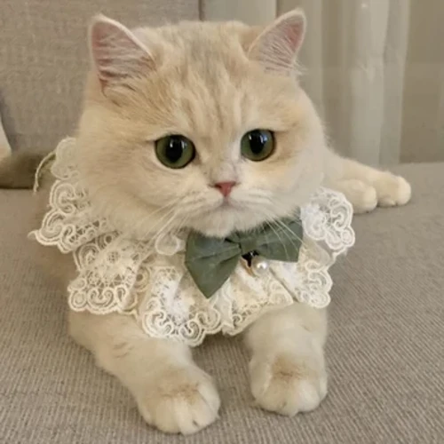Pearl Hundehalsbånd Jeweled Silke Bryllup Katt Valp Bånd Skjerf Anheng Kjæledyr Sløyfer Halskjede Satin Ny Kattunge Tilbehør Sløyfe Gave